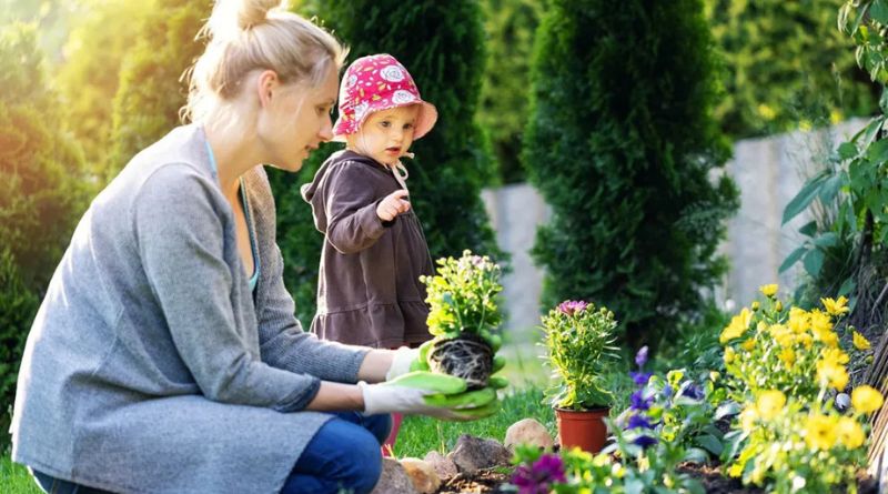 Cultivating Your Green Oasis: A Friendly Guide to the Home Depot Garden Center